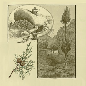 Form and Void cover