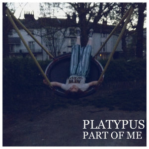 Part Of Me cover