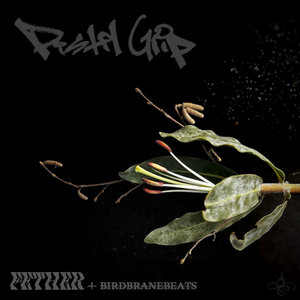 Pistil GripF-ETHER & BIRDBRANEBEATS cover