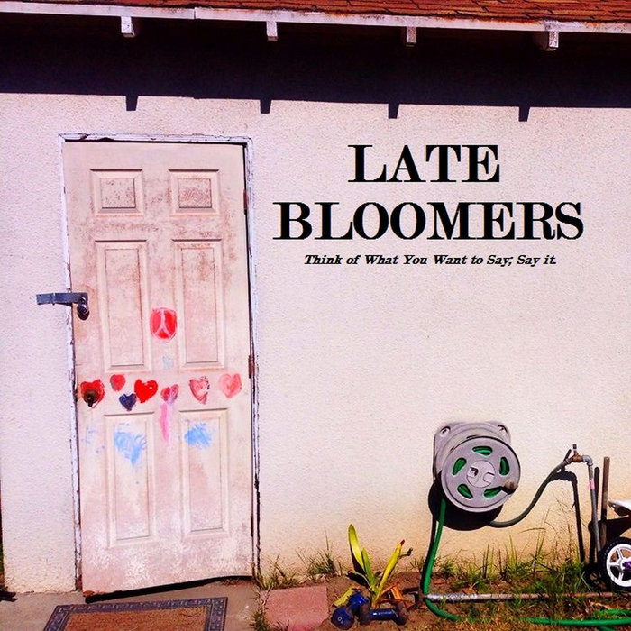 Think of What You Want to Say; Say it | Late Bloomers