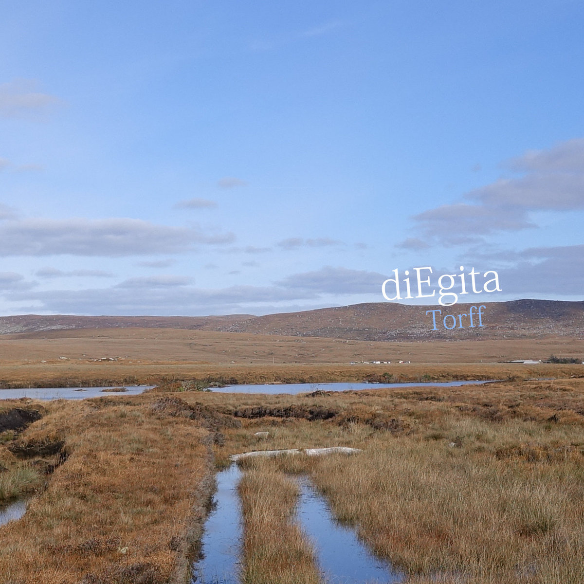 Torff Torff | diEgita