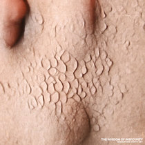 The Wisdom of Insecurity cover art