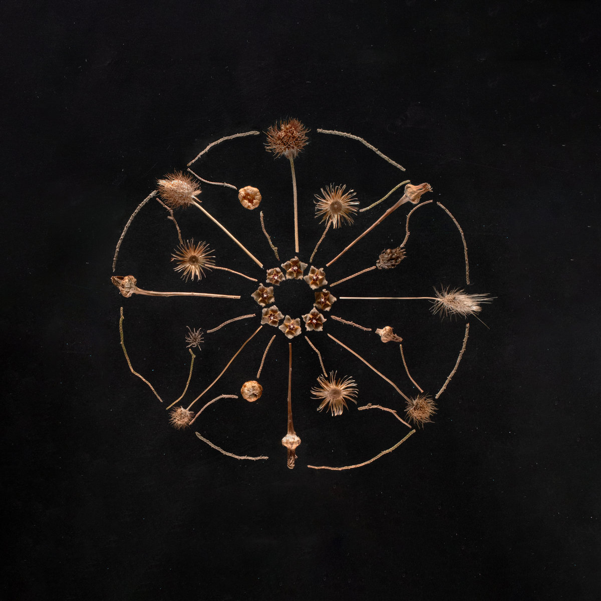 Transmissions From The Radio Midnight | Aki Onda | Dinzu