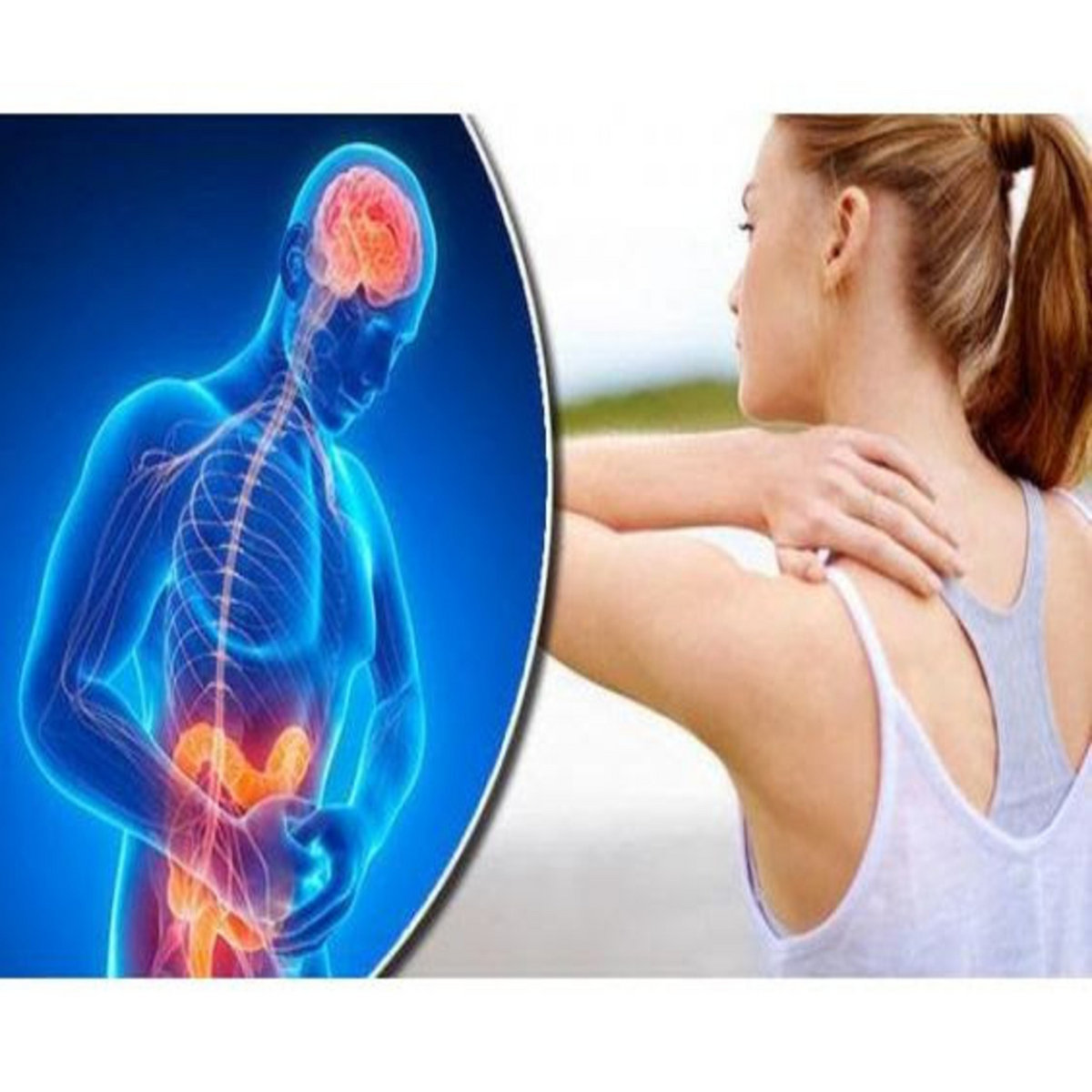 Zen Leaf CBD Gummies REVIEWS 2024 {UPDATED} RISKY OR SCAM DOES IT REALLY WORK? Zen Leaf CBD