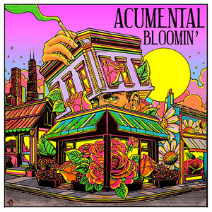 The Palmer Squares — Bloomin'Acumental
