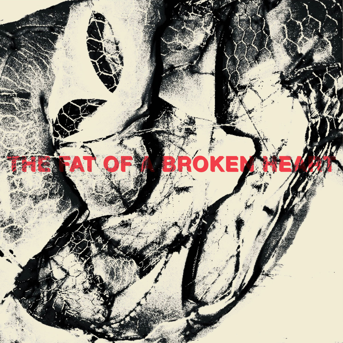 The Fat of a Broken Heart | Catcher
