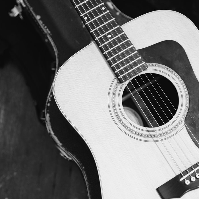 Plastic Flowers (Single) Keith Skooglund and Rick Nagy Keith Skooglund