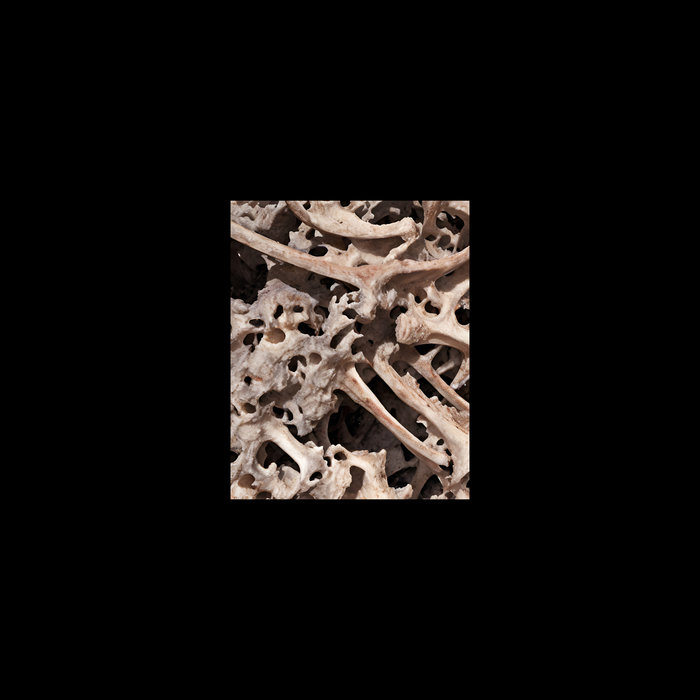 Crushing Bones Crushing Bones ationism