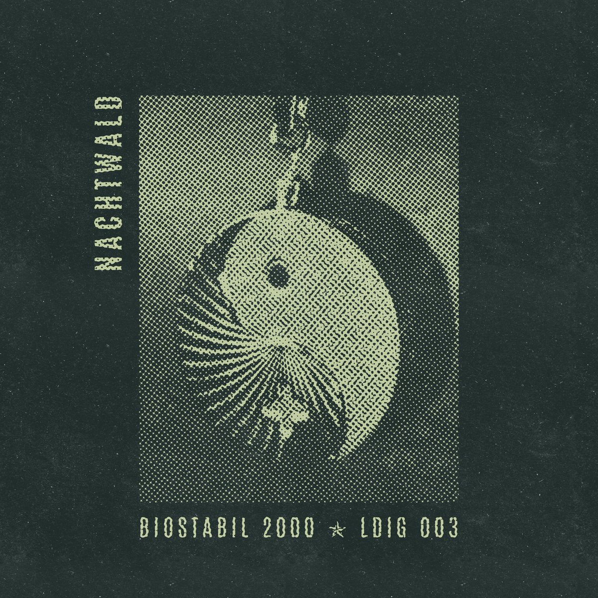 Light and Shadow EP | Human Rebellion | LDI Records