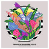 Tropical Bangers Vol.II