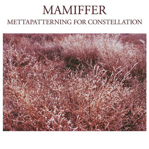Mamiffer — Mettapatterning for Constellation