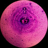 Planet 2 (Original Mix)
