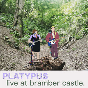 Live at Bramber Castle cover