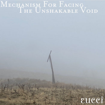 Mechanism for Facing the Unshakable Void