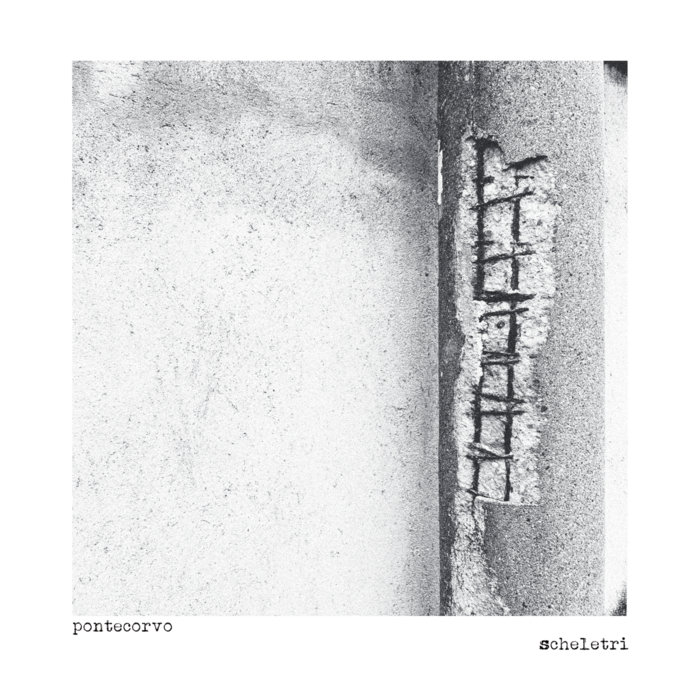 scheletri, by pontecorvo