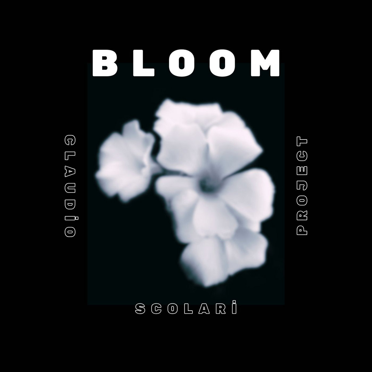 Bloom | Claudio Scolari Project