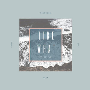 Like What Freestyle cover