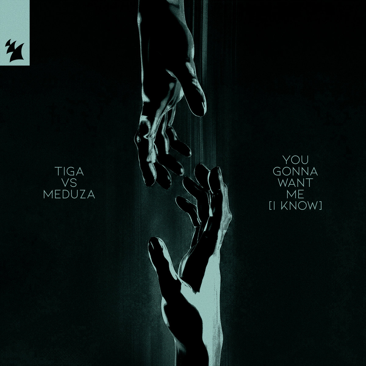 10.	Tiga vs. MEDUZA - You Gonna Want Me (I Know)