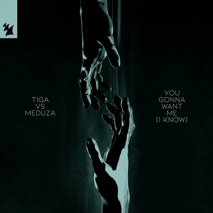 You Gonna Want Me (I Know) | Tiga vs MEDUZA | Tiga