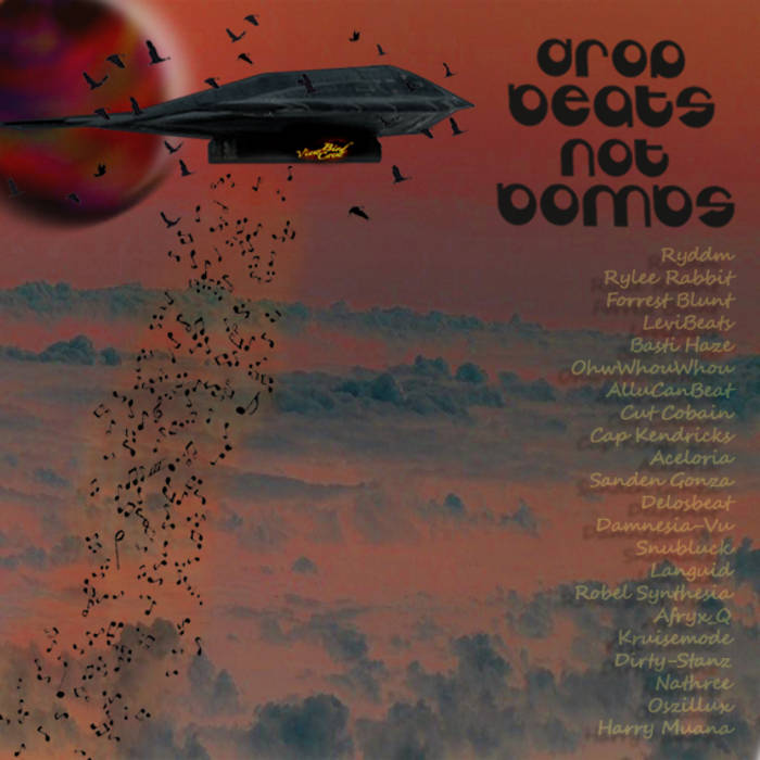 Drop Beats Not Bombs Birdview Crew