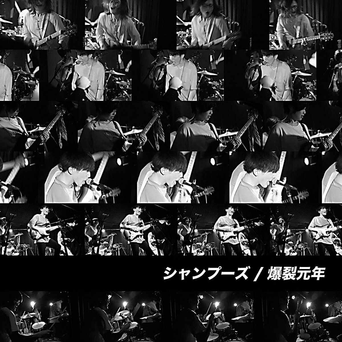 蝉の歌 シャンプーズ