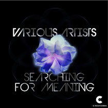 Searching for Meaning cover art