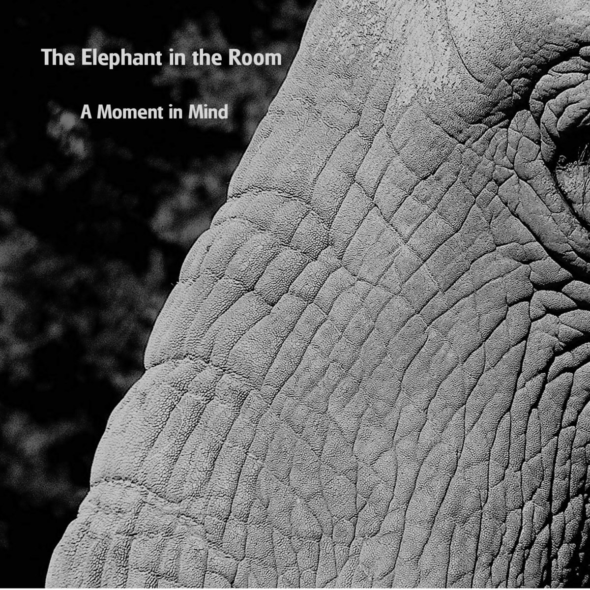 Elephant In Room That Needs To Be >> This Has To Be A Dream Or A Nightmare The Elephant In The Room Elephant In Room That Needs To Be >> This Has To Be A Dream Or A Nightmare The Elephant In The Room