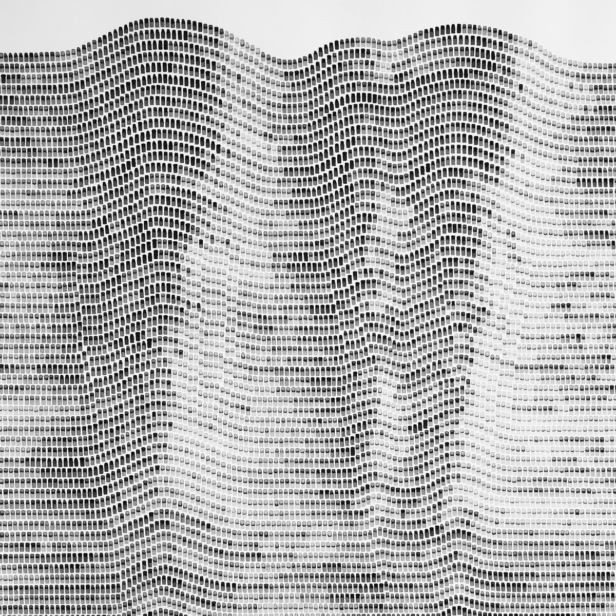 Swimming in the early hours by Emergence Collective