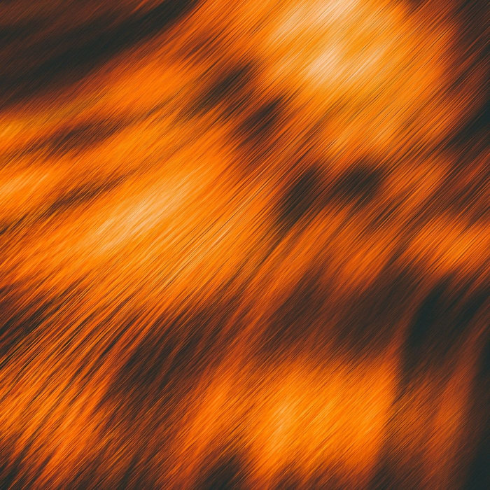 Das Tier (col) Corinto Diffuse Reality Records