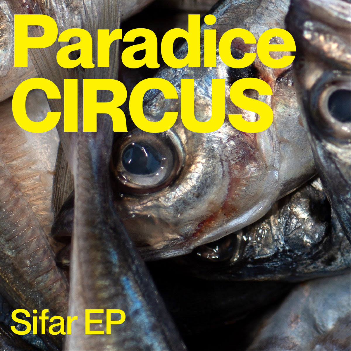 SIFAR | Paradise Circus, Lakker, Low Jack, Bruce, Etch | Das SPEZIAL