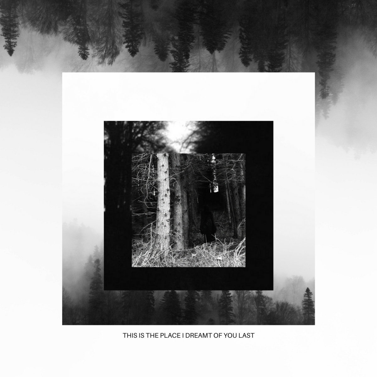 Fields Ohio – This is the Place I Dreamt of You Last
