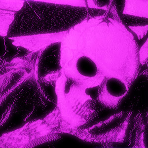 Bacterium Delirium (Live 03/07/26) cover