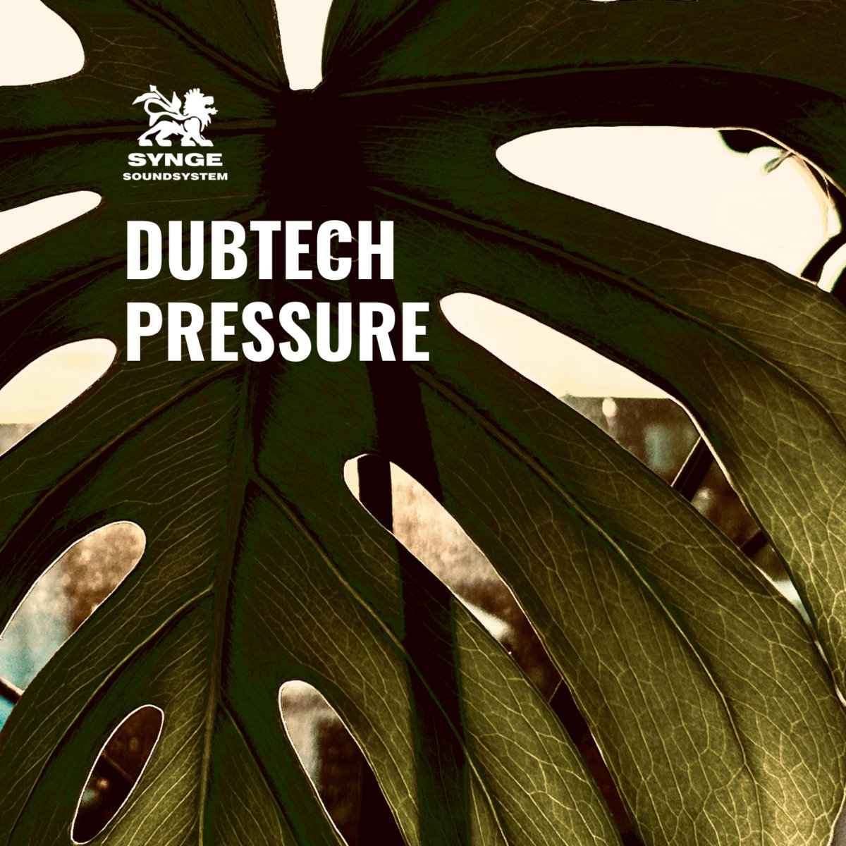 DUBTECH PRESSURE
