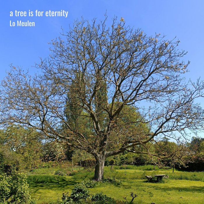 Pochette de a tree is for eternity par Lo Meulen