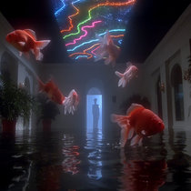 submerged memory