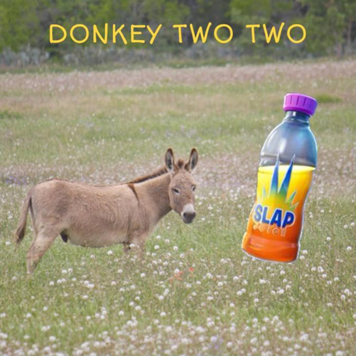 Donkey Doo Doo 2 (Donkey Two Two) Jared And The Scooters