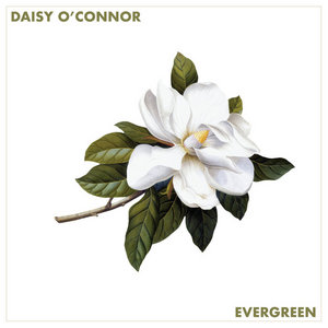 Evergreen cover