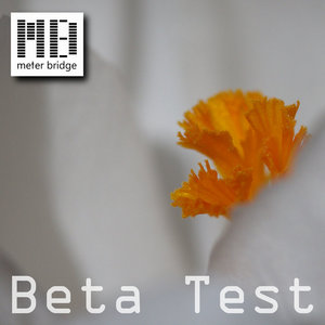 BETA TEST cover