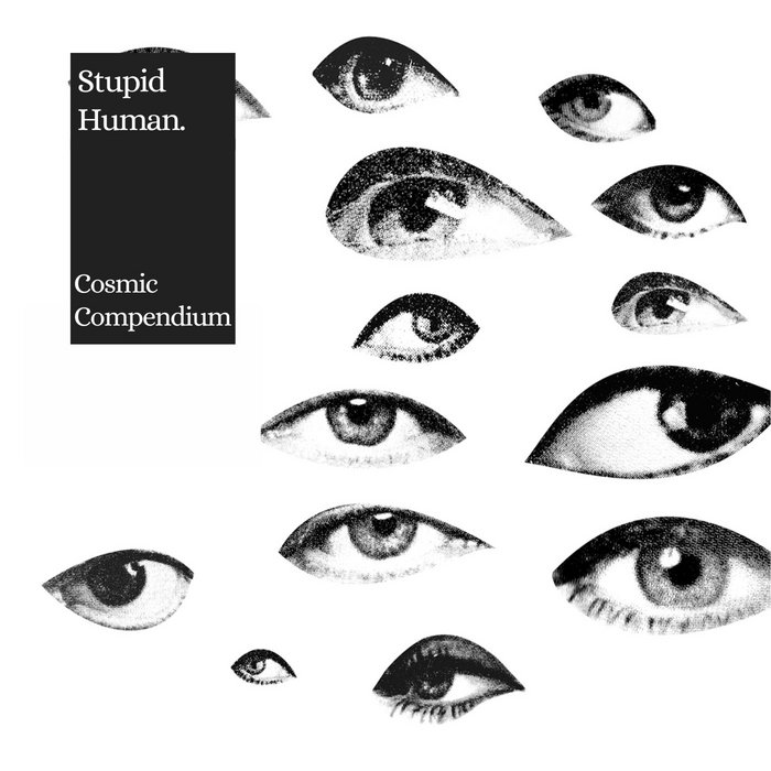 Spectacled Human The Incomplete Cosmic Compendium 2009-2017 | Stupid Human