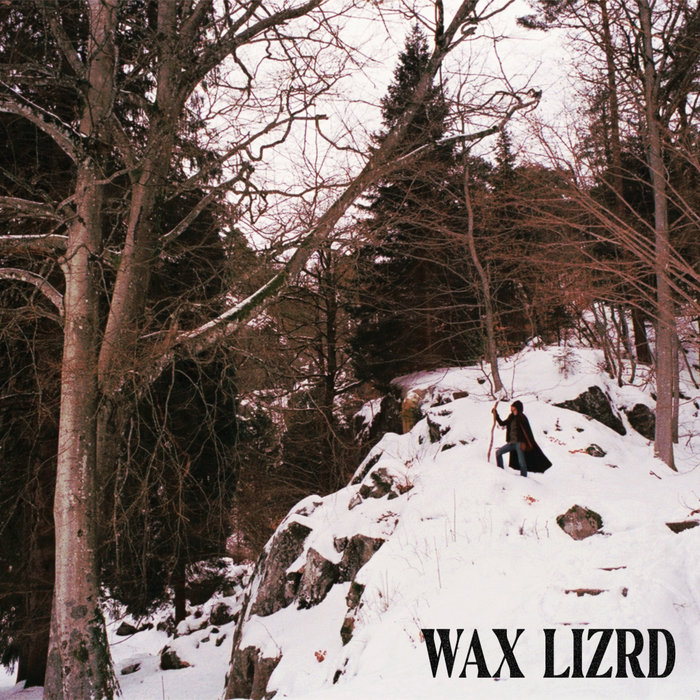 Pochette de WAX LIZRD par WAX LIZRD
