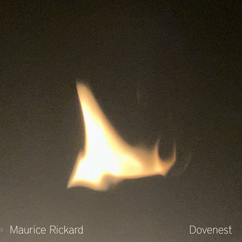 Dovenest cover art