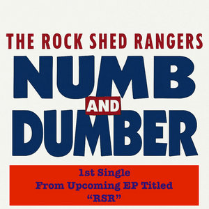 Numb And Dumber cover