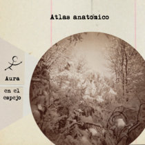 Atlas anatómico [Single club] cover art