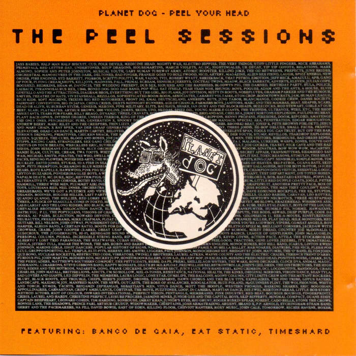 UNSEEN TERROR / THE PEEL SESSIONS 【LP】 UNSEEN TERROR / THE PEEL SESSIONS 【LP】Unseen Terror The Peel