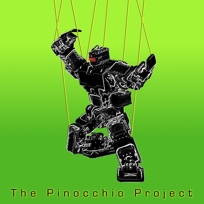The Pinocchio Project | Doctor Obvious