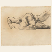 We Are Only Human Once - drowning dogs