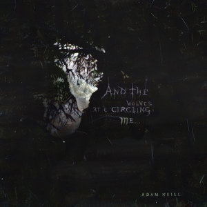 And The Wolves Are Circling Me... cover
