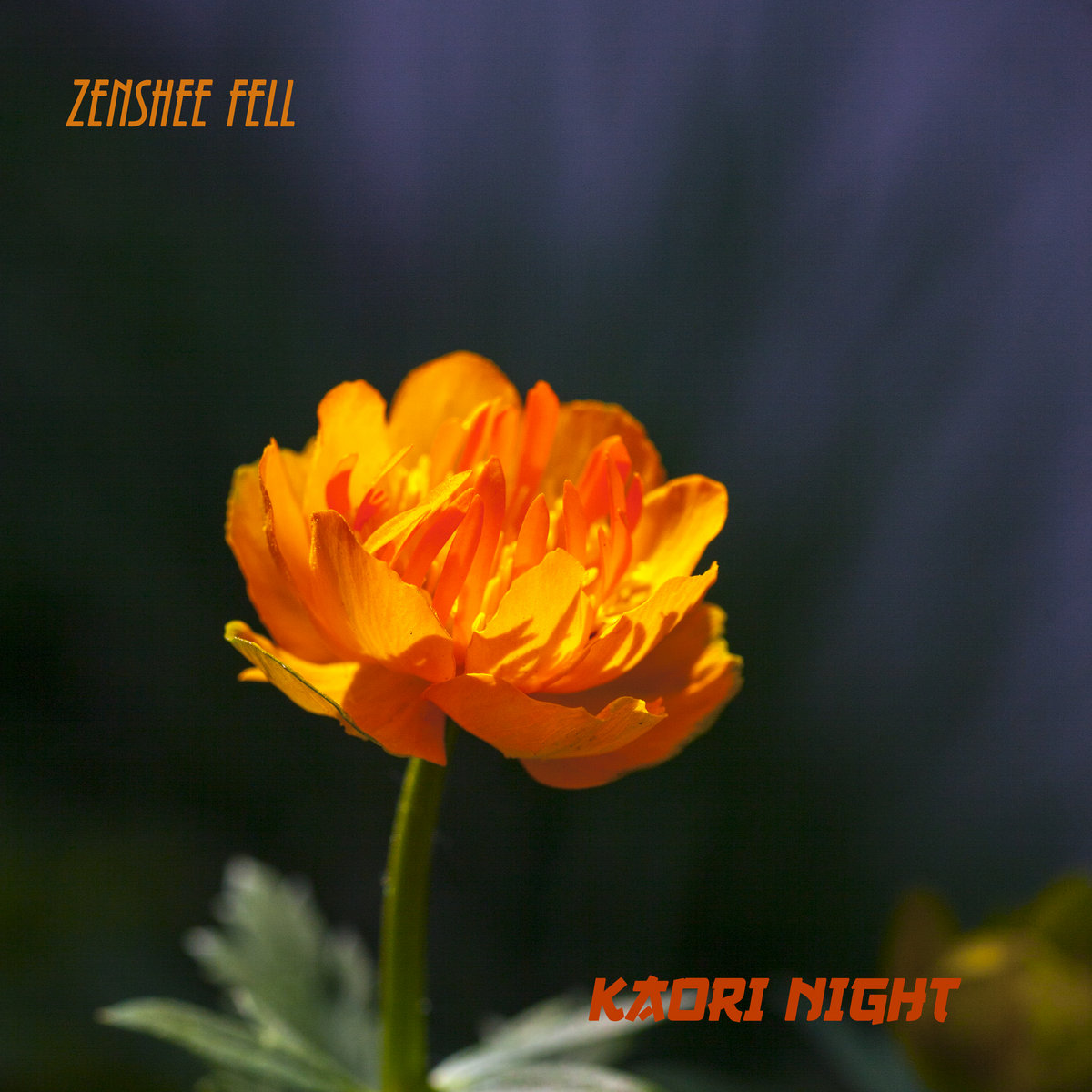 Kaori Night | Zenshee Fell