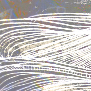 Studies ep cover