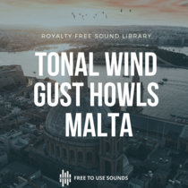 Tonal Wind Sound Effects Library | Howls Gust and Whistles cover art